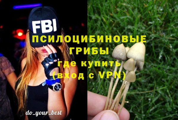 Альфа ПВП Баксан