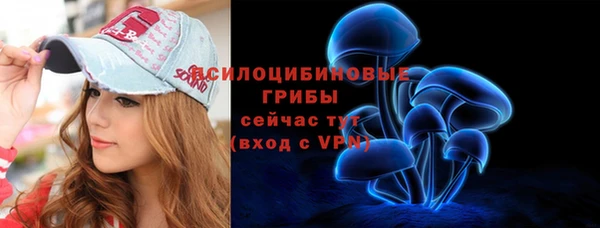 ПСИЛОЦИБИНОВЫЕ ГРИБЫ Балабаново