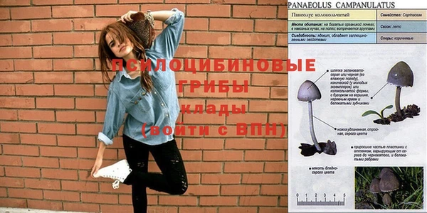 ПСИЛОЦИБИНОВЫЕ ГРИБЫ Балабаново